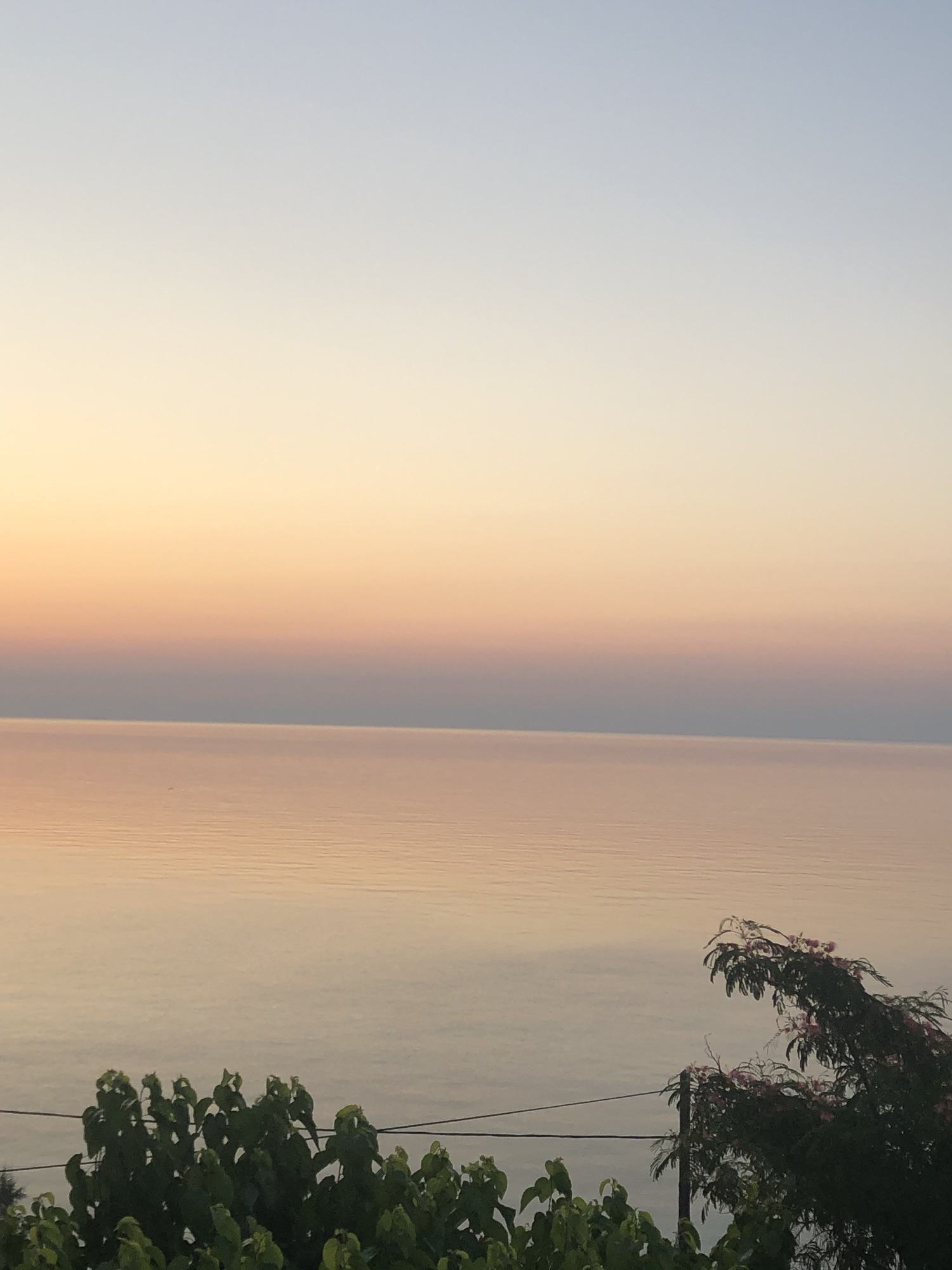 KalyPsouL@Large: Alien-Nation Reflections